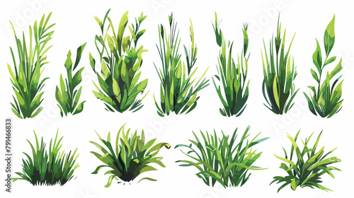 green grass of solid icon style Hand drawn style vector photo