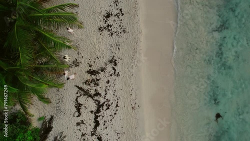 aerial long shot on beach in front on palms on the waves, riviera maya quintana roo mexico  photo