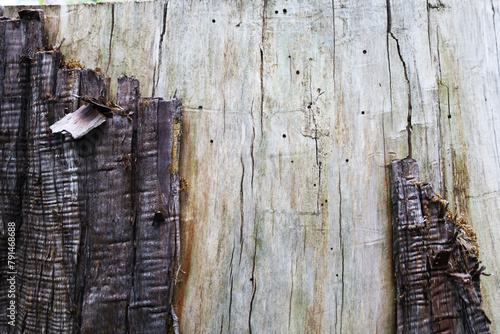 old wood texture