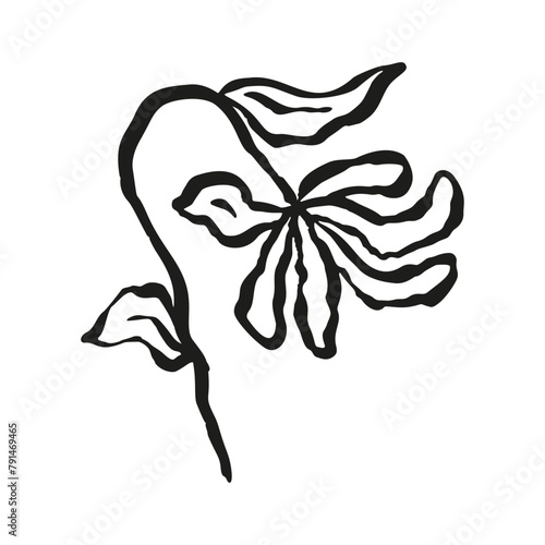 Ink brush abstract flower sketch isolated on white. Black silhouette of doodle floral