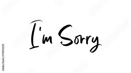 Phrase i am sorry handwritten on alpha channel 4k.