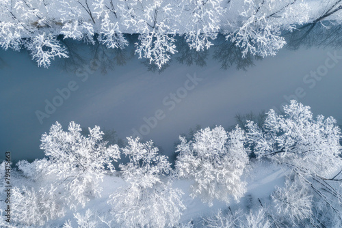 A winter wonderland unfolding beneath you from a bird's-eye perspective. A pristine blanket of snow covers the landscape like a soft, glistening quilt, creating a serene and ethereal scene. 