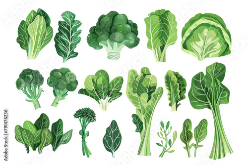 abundance of leafy greens in plant foods, demonstrating the versatility and bounty of nature. photo