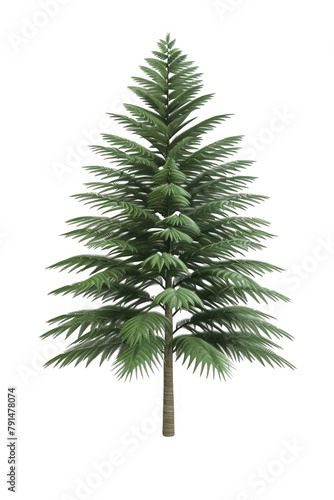 A tall evergreen tree with green leaves