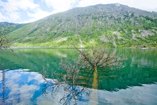 Multinskiye lake, Altai. Russian nature photo