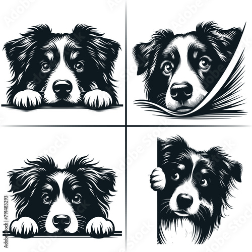 Peeking Australian Shepherd Clipart, Peeking Paws, Dog Breed, K-9, Animal Pet Vector 