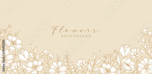 Floral background with hand drawn flowers and leaves in line art style. Elegant border with a bouquet of white flowers on a neutral beige background. Vector illustration with botanical elements © Feodora_21