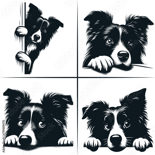PEEKING BORDER COLLIE Svg, Peeking Border Collie Clipart, Peeking Border Collie Dog Svg Files For Cricut