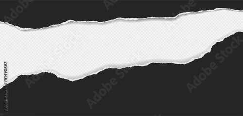 Black torn paper strips with soft shadow are on white background Vector illustration.