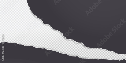 Black torn paper strips with soft shadow are on white background Vector illustration.