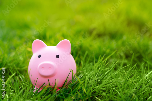 A pink piggy bank in a green grass. investments in a nature and environment. Financial savings and business concept. Income, budget. Copy space