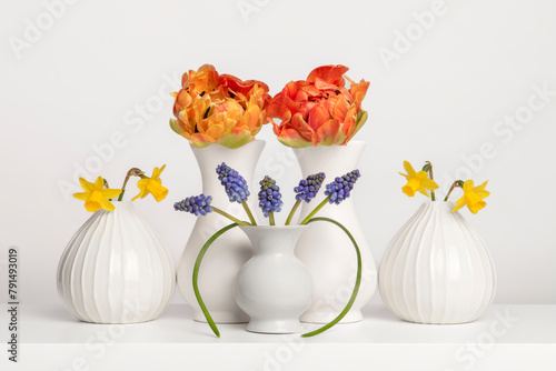 Still life in white, with white vases and white background with spring flowers, tulips, narcissus and blue grape flowers