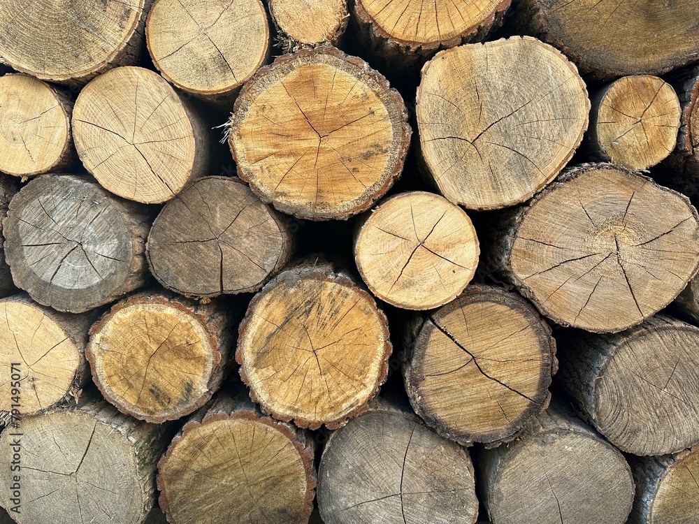 Round timber in a stack, blanks from chopped tree trunks. Background texture - stacked firewood prepared for winter. Wall of firewood, background of dry chopped firewood. Round timber in a stack, blanks from chopped tree trunks. Background texture - stacked firewood prepared for winter. Wall of firewood, background of dry chopped firewood.