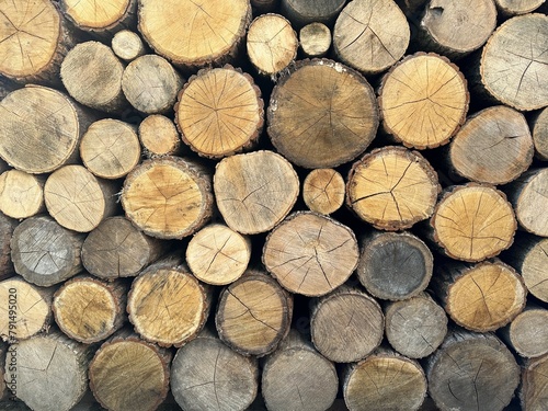Round timber in a stack  blanks from chopped tree trunks. Background texture - stacked firewood prepared for winter. Wall of firewood  background of dry chopped firewood.