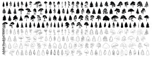 Mega set of fir trees. Pine tree silhouette stroke outline and filled. 224 tree elements icon symbol for architecture and landscape design drawing Vector isolated illustration on transparent eps 10