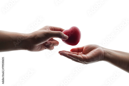 Tableau sur toile Adult hands giving a red heart, health care, organ donation, family life insuran