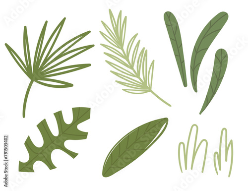 Set of simple green leaves vector illustration isolated on white background