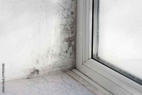 Black mold on the window, closeup photo