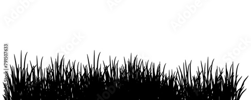 Black silhouettes of grass isolated on transparent background.