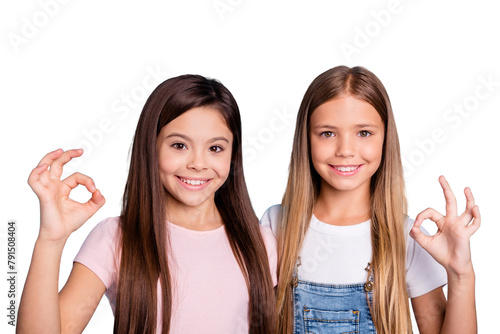 Close-up portrait of two people nice-looking cute lovable adorable sweet attractive cheerful straight-haired girls siblings showing ok-sign isolated over blue pastel background