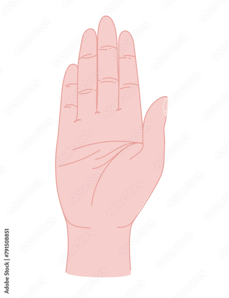 Human hand palm gesture vector illustration isolated on white background Human hand palm gesture vector illustration isolated on white background