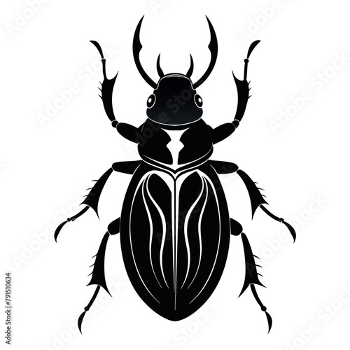 beetle insect vector silhouette