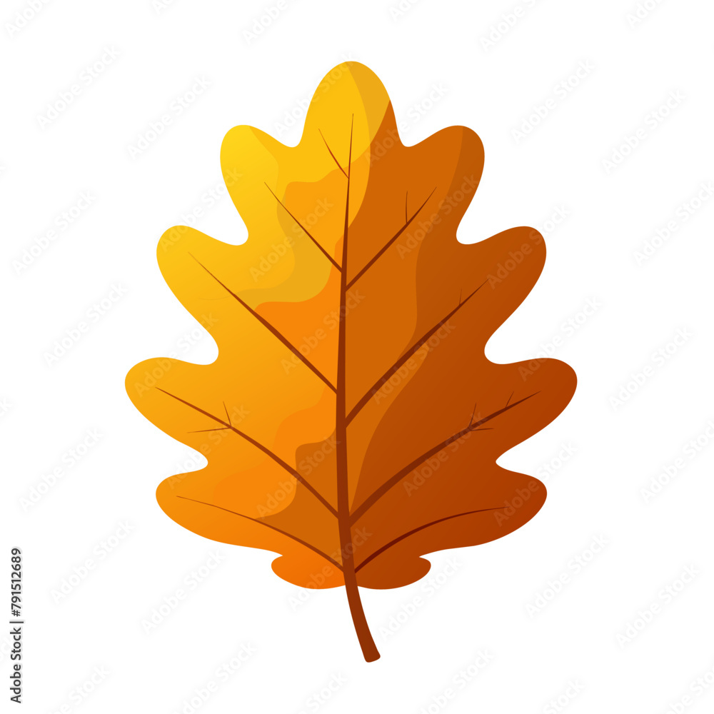Fototapeta premium orange autumn oak leaf on white background