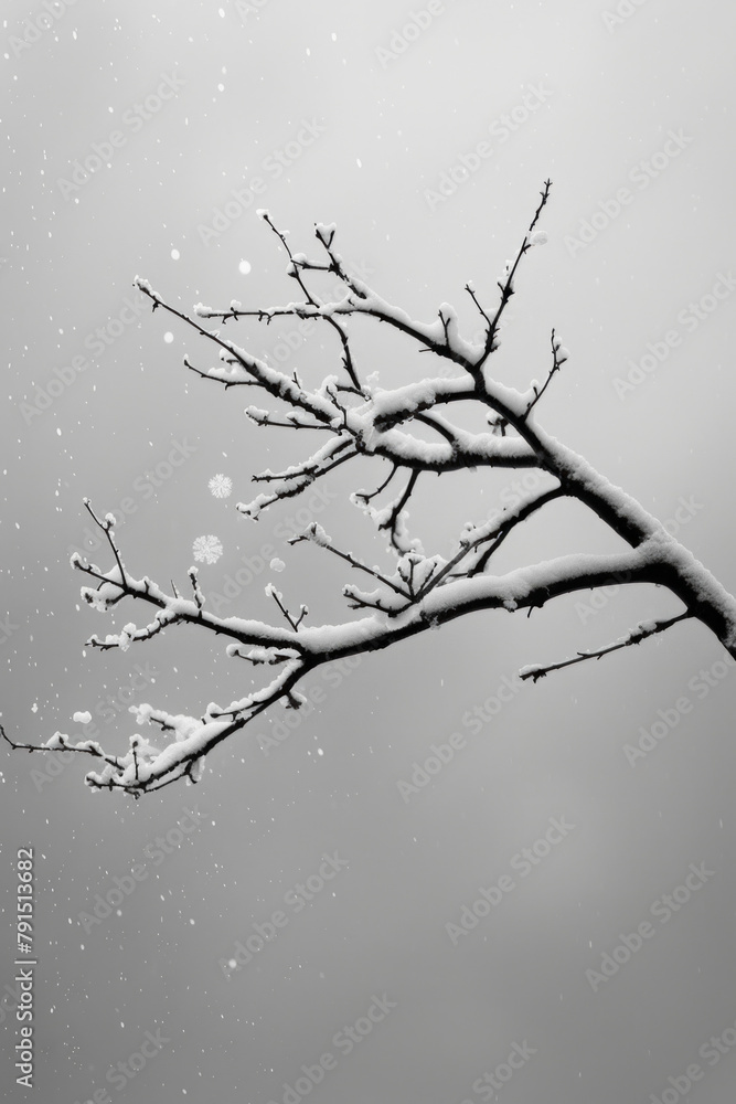 The serene beauty of a solitary tree branch adorned with freshly fallen snow.