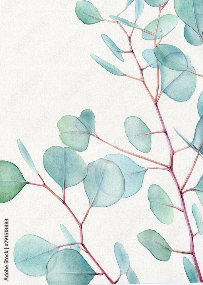 Watercolor floral illustration  - green leaf branches collection, for wedding stationary, greetings, wallpapers, fashion, background. Watercolor eucalyptus leaves and branches 