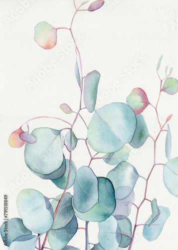 Watercolor floral illustration  - green leaf branches collection, for wedding stationary, greetings, wallpapers, fashion, background. Watercolor eucalyptus leaves and branches 