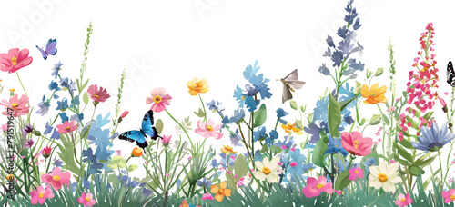 Beautiful wild meadow with flowers, butterflies and bees vector illustration on a white background