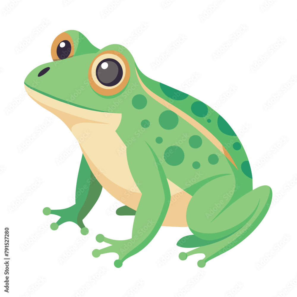 Frog flat vector illustration, a frog vector art illustration white background Frog flat vector illustration, a frog vector art illustration white background