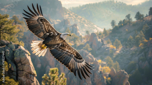 An eagle soars above the mountains. photo