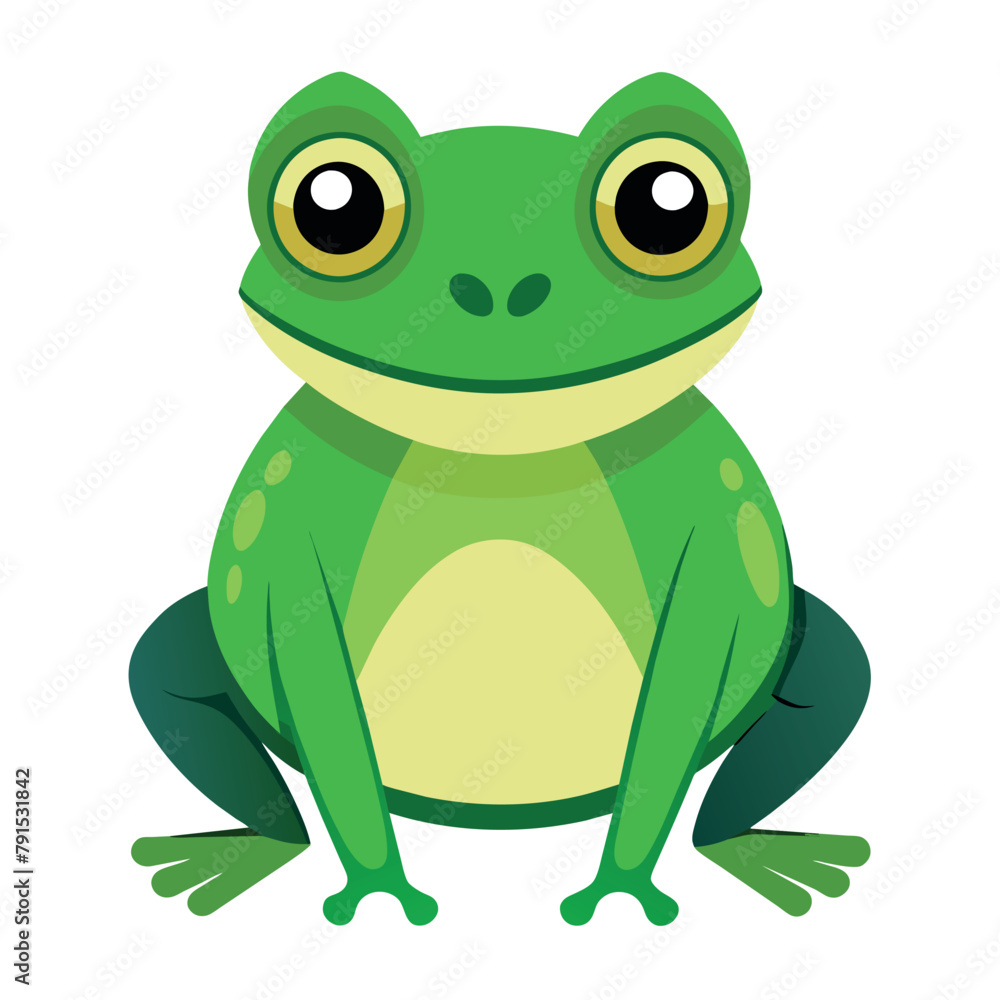 Frog flat vector illustration, a frog vector art illustration white background Frog flat vector illustration, a frog vector art illustration white background