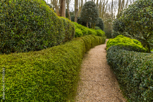 green hedge and topiary