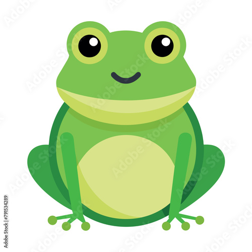 Frog flat vector illustration, a frog vector art illustration white background