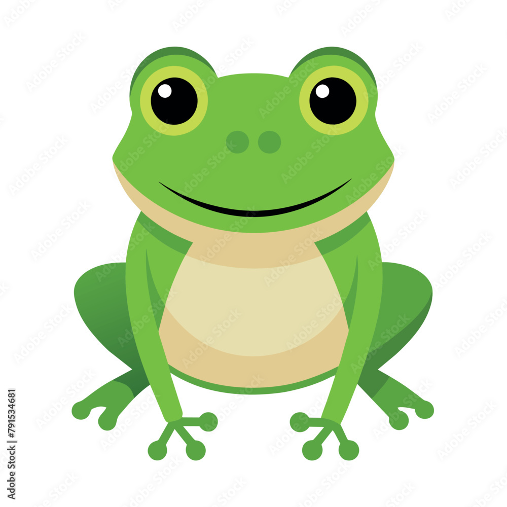 Frog flat vector illustration, a frog vector art illustration white background Frog flat vector illustration, a frog vector art illustration white background
