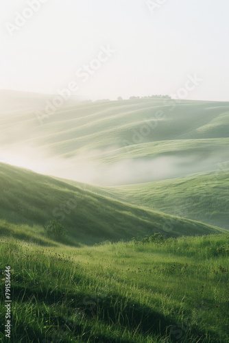 The ethereal beauty of a misty morning in a peaceful meadow, with soft fog blanketing the grassy landscape. 