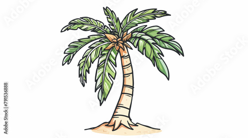 Palm tree with trunk and leaves in simple doodle styl