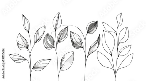 Abstract leaves continuous line drawing minimal botan photo