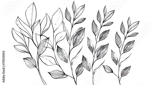 Abstract leaves continuous line drawing minimal botan photo
