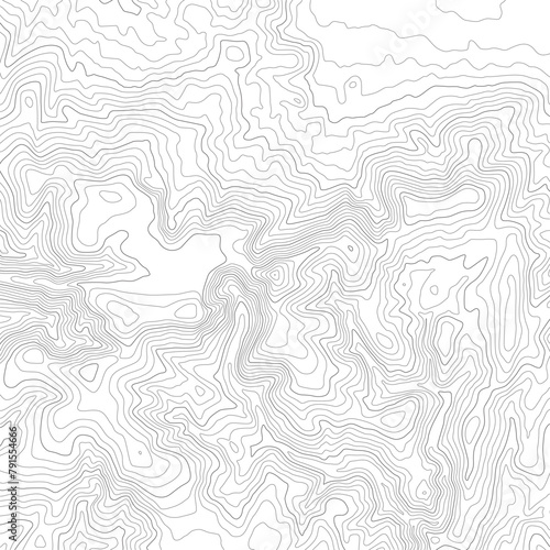 Vector background with black textured topographical contour. White background