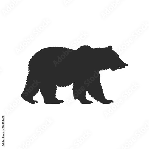 wild bear beast animal silhouette vector illustration design isolated on white background 