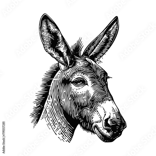 donkey engraving black and white outline