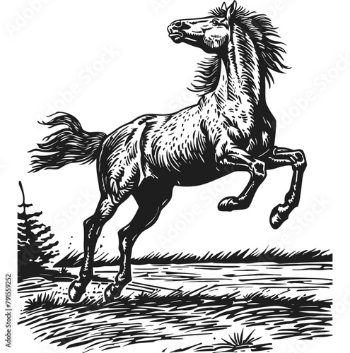 horse standing rearing up engraving black and white outline