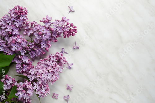 Fresh lilac flowers on a white marble background with copy space. Flower composition. Flat lay, top view. Copy space. 