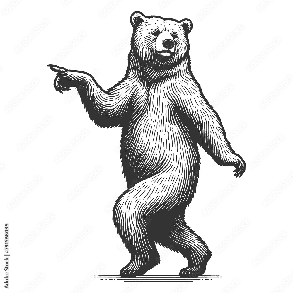 Fototapeta premium Dancing standing bear pointing with its paw sketch engraving generative ai fictional character raster illustration. Scratch board imitation. Black and white image.