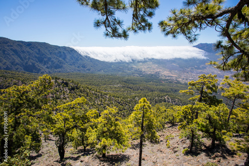 Landscape in Bejenado Peak in Caldera de Taburiente, La Palma, Spain photo