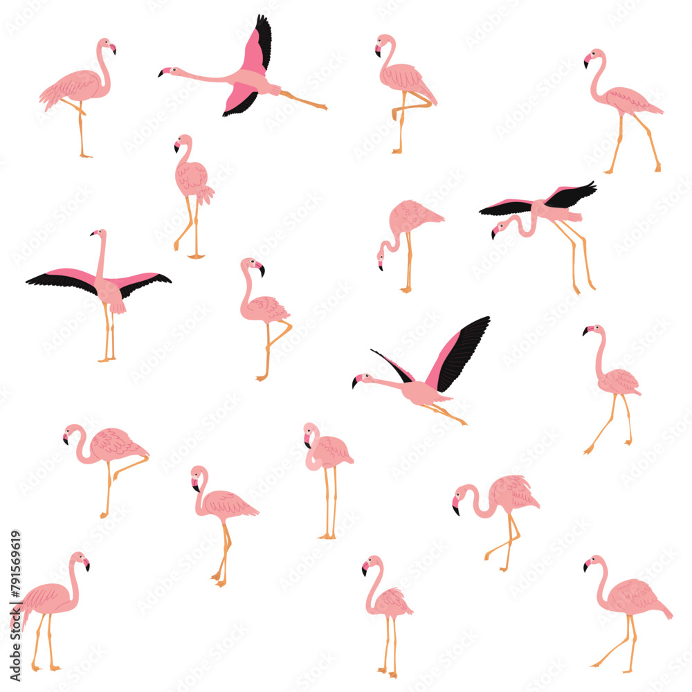 Fototapeta premium set of pink flamingos in flat style on white background vector