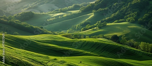 Landscape nature background. Aerial view of a large green rice terrace.